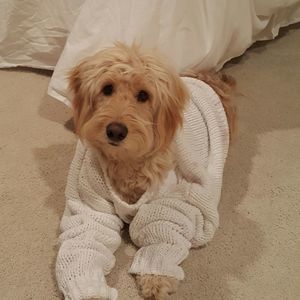 Meet your Posher, Patricia